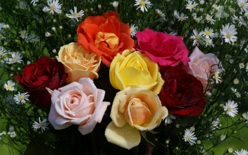 colorful_rose_bouquet